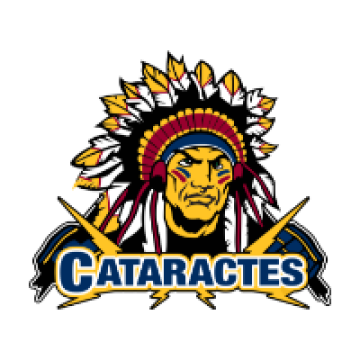 Cataractes de Shawinigan