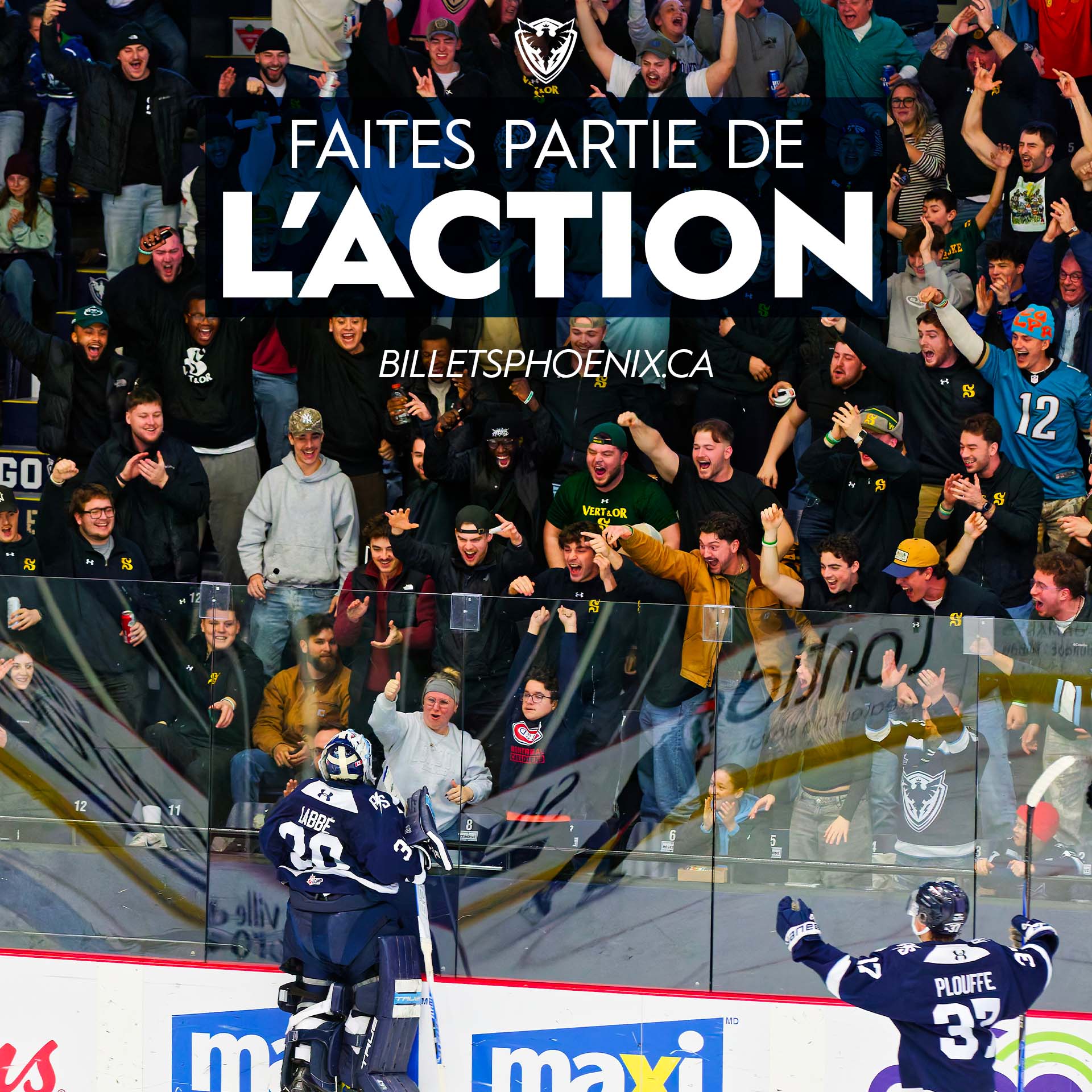 Le Phoenix de Sherbrooke