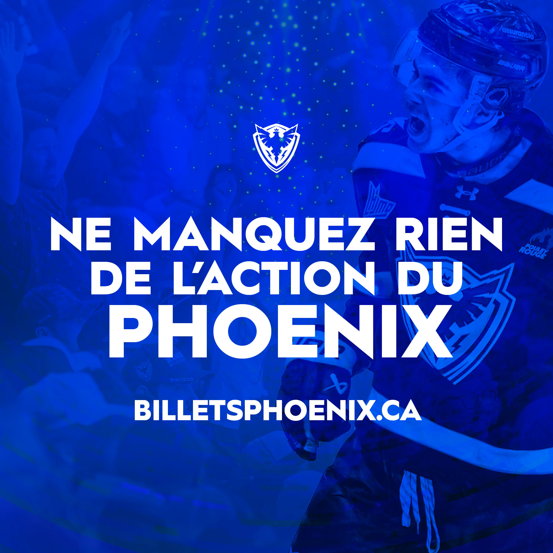 Le Phoenix de Sherbrooke