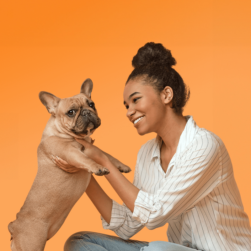 Boutique d'animaux Chico