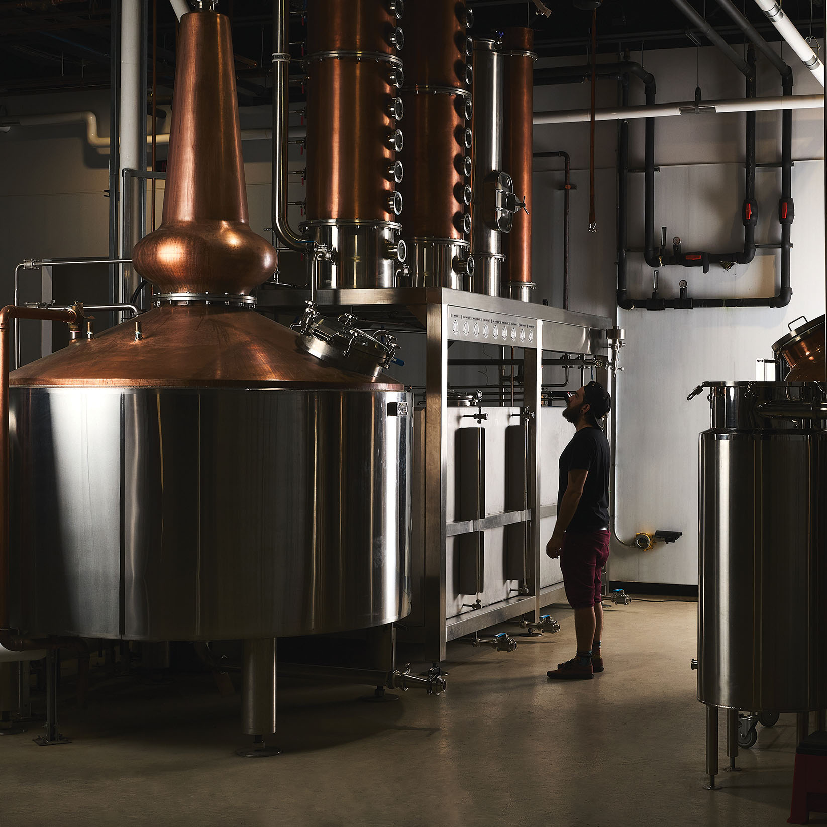 Distillerie Stadaconé