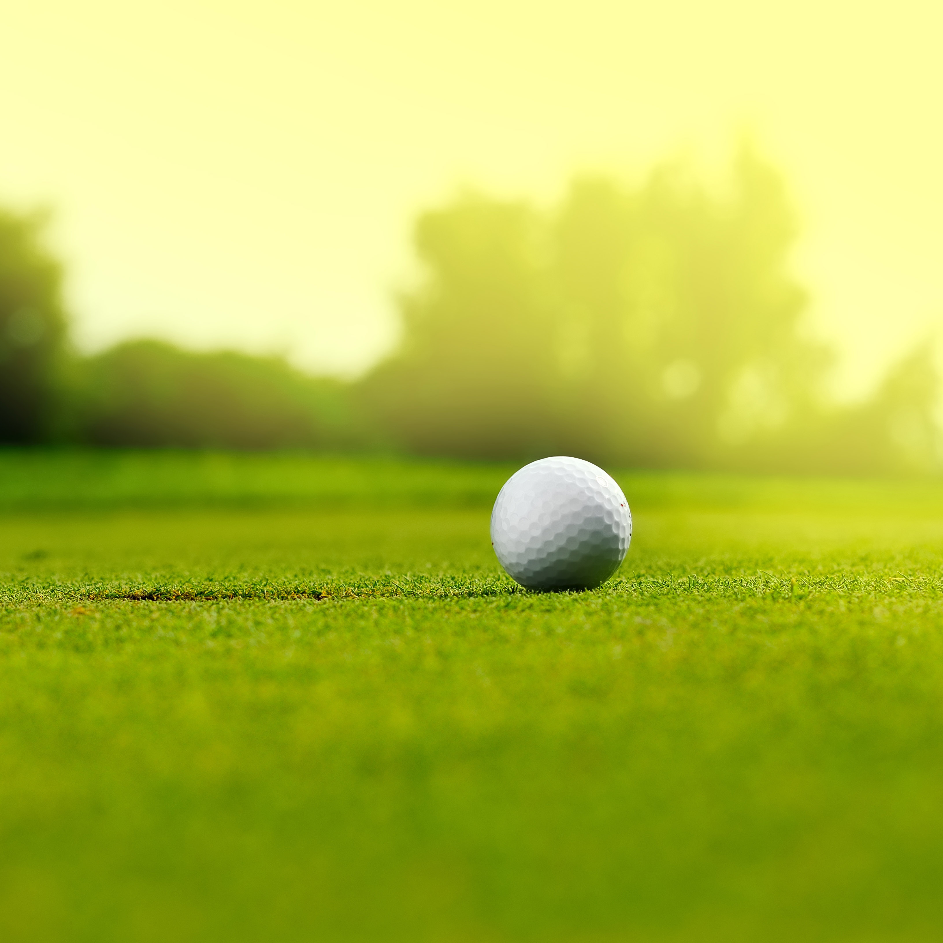 Golf 9Chatel