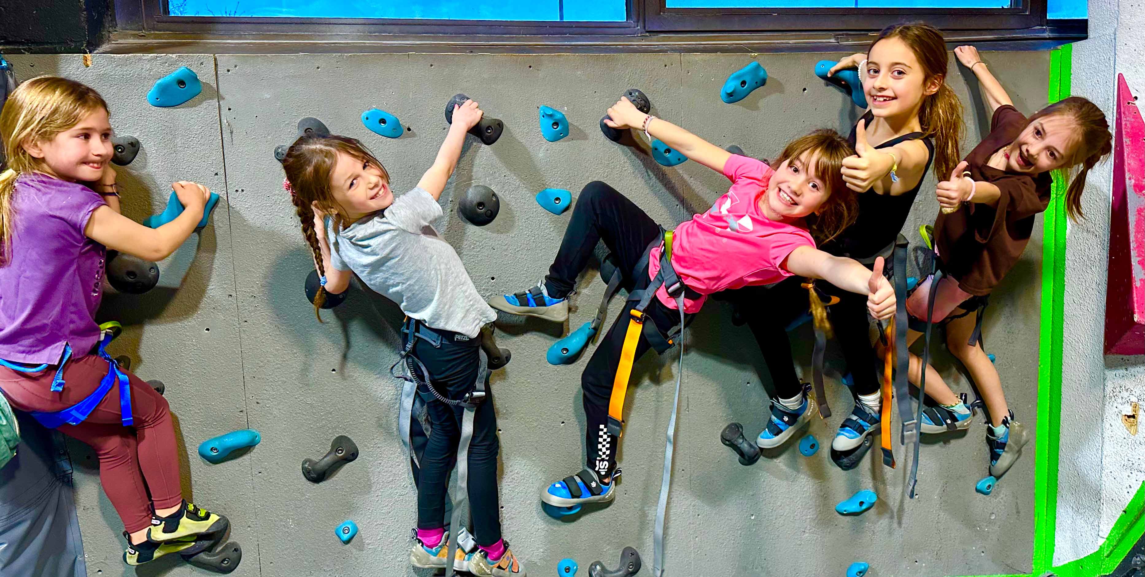 Roc Gyms