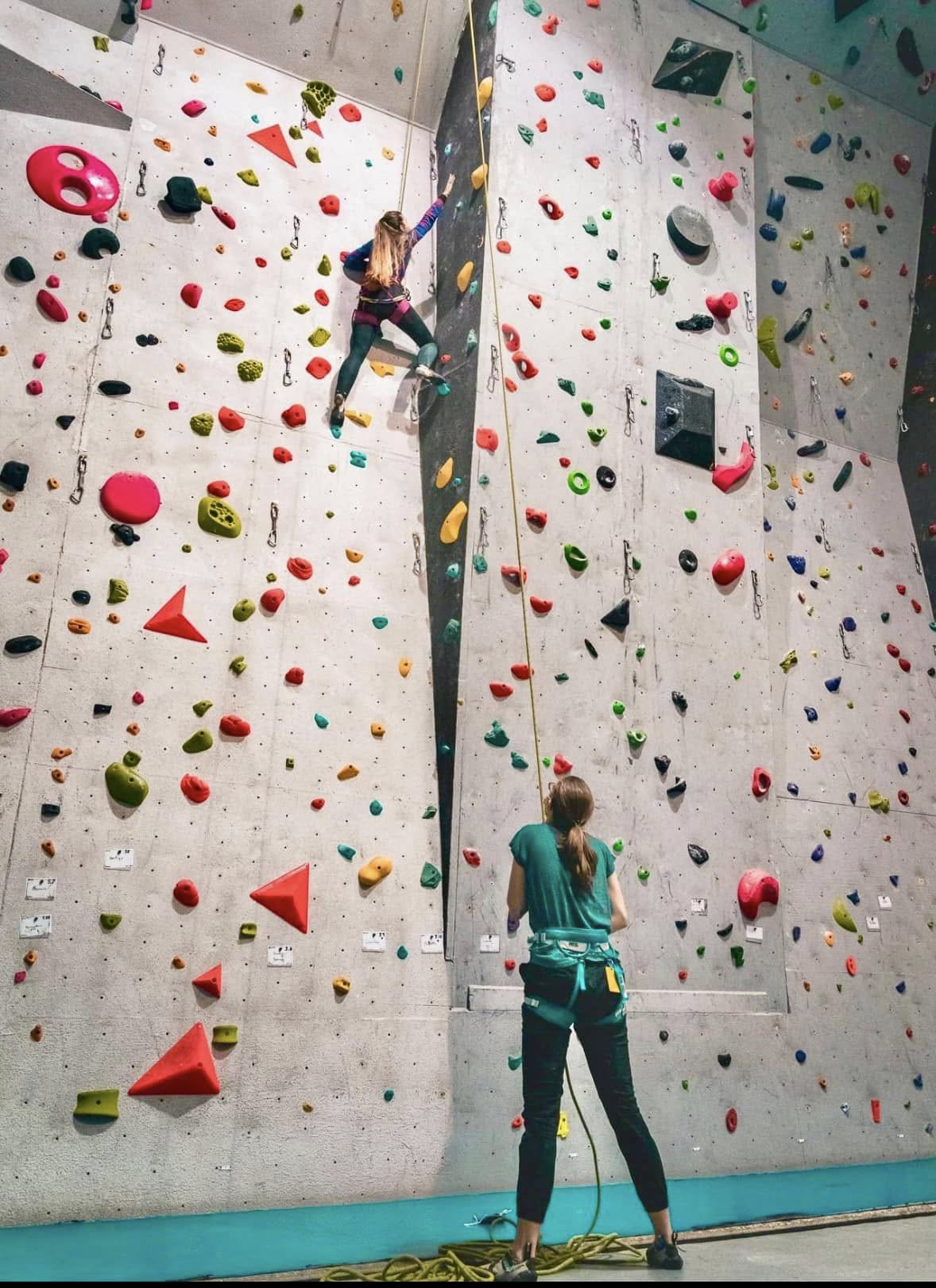 Roc Gyms